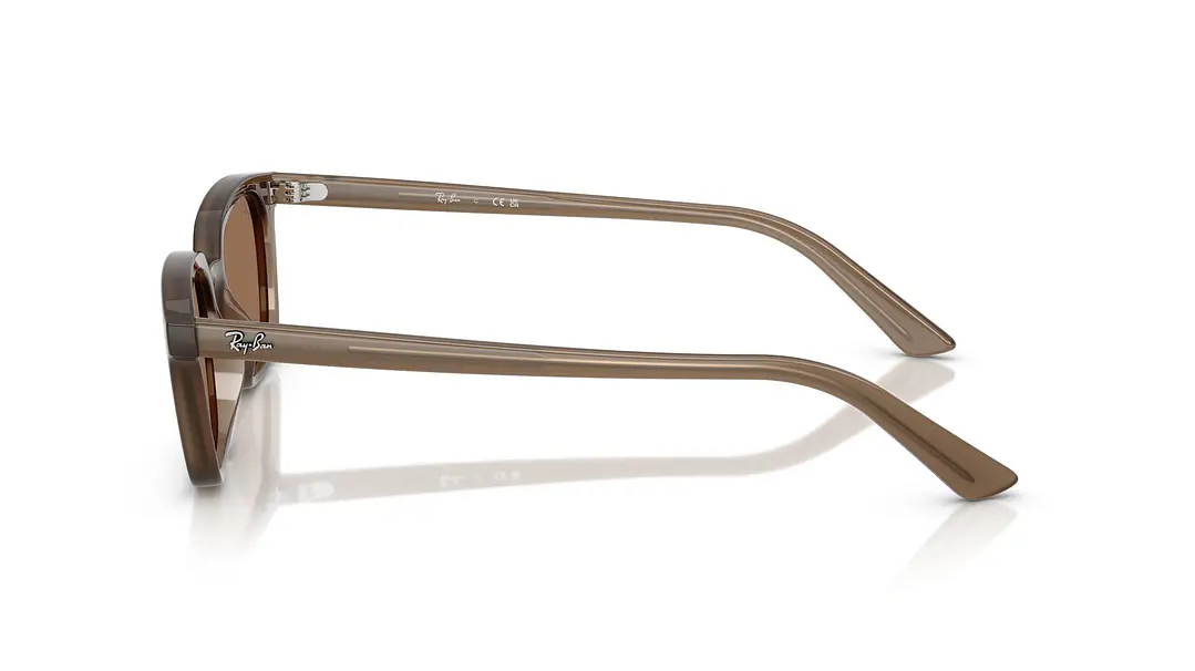 Ray-Ban Zaya RB4456 677973 53 2
