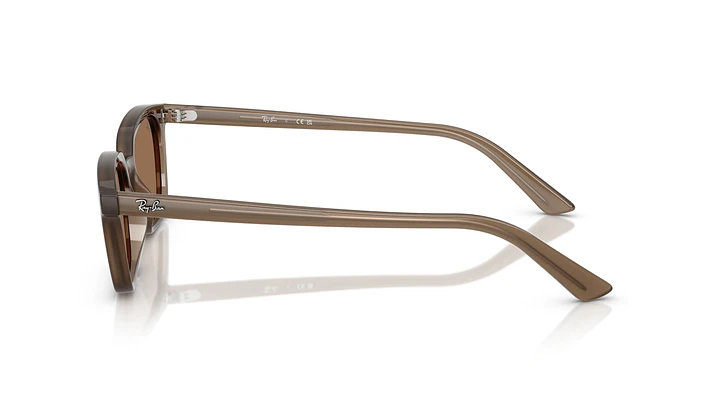 Ray-Ban Zaya RB4456 677973 53 2