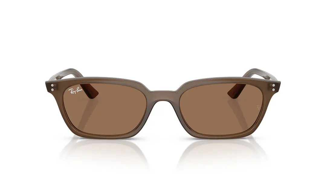 Ray-Ban Zaya RB4456 677973 53 6