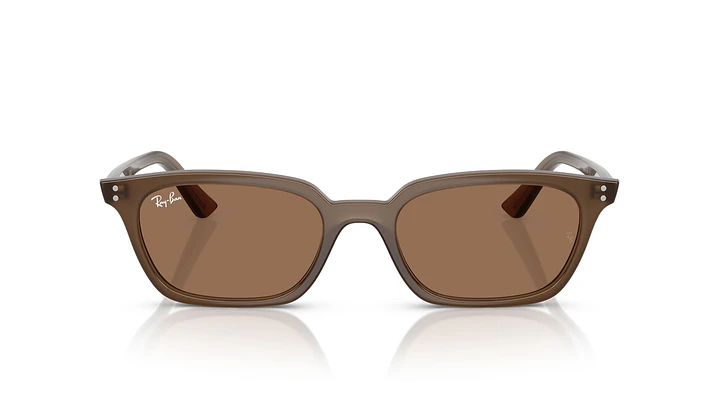 Ray-Ban Zaya RB4456 677973 53 6