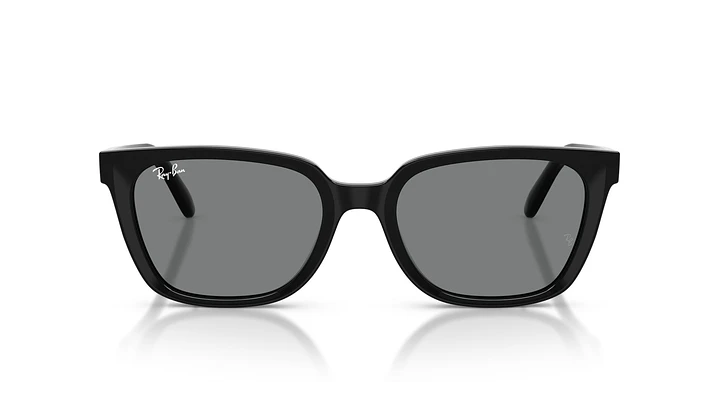 Ray-Ban RB2243D RB2243D 901/87 55 6