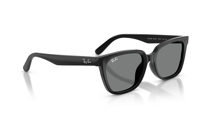 Ray-Ban RB2243D RB2243D 901/87 55 4