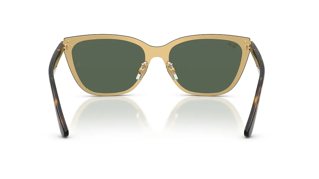Ray-Ban RB3798D RB3798D 001/71 45 3