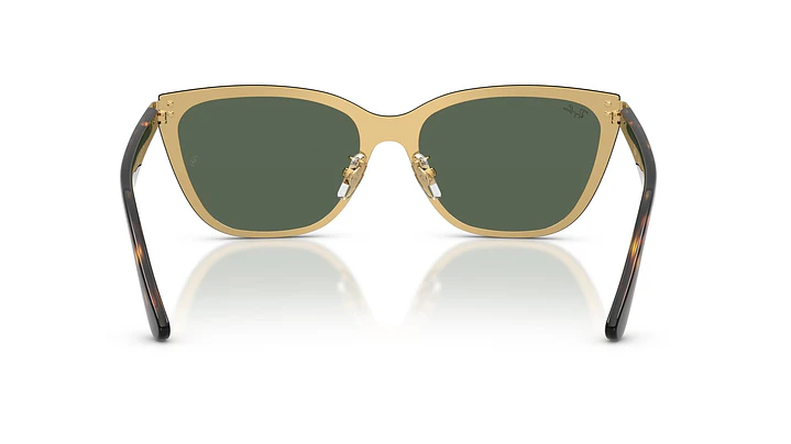 Ray-Ban RB3798D RB3798D 001/71 45 3