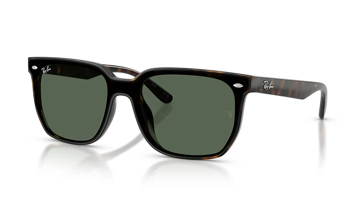 Ray-Ban RB4466D RB4466D 710/71 47 1