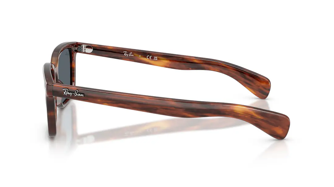 Ray-Ban Brunel RB2234 954/3R 56 2