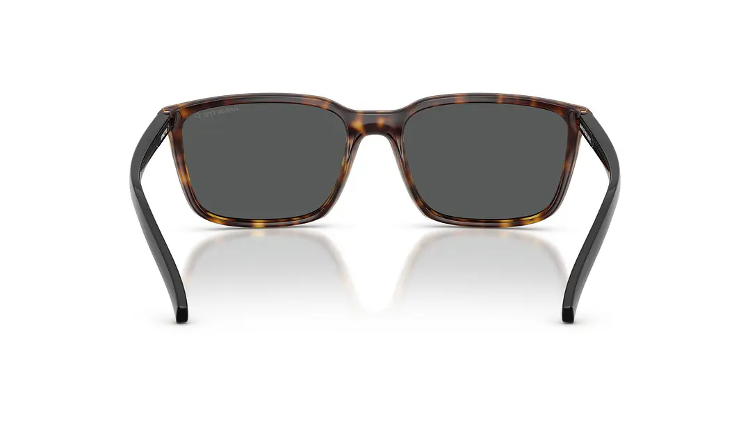 Arnette AN4311 AN4311 295681 56 3