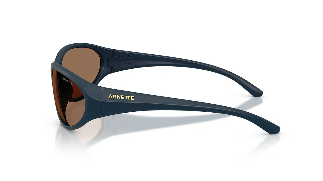 Arnette RAVEN AN4368 275973 64 2