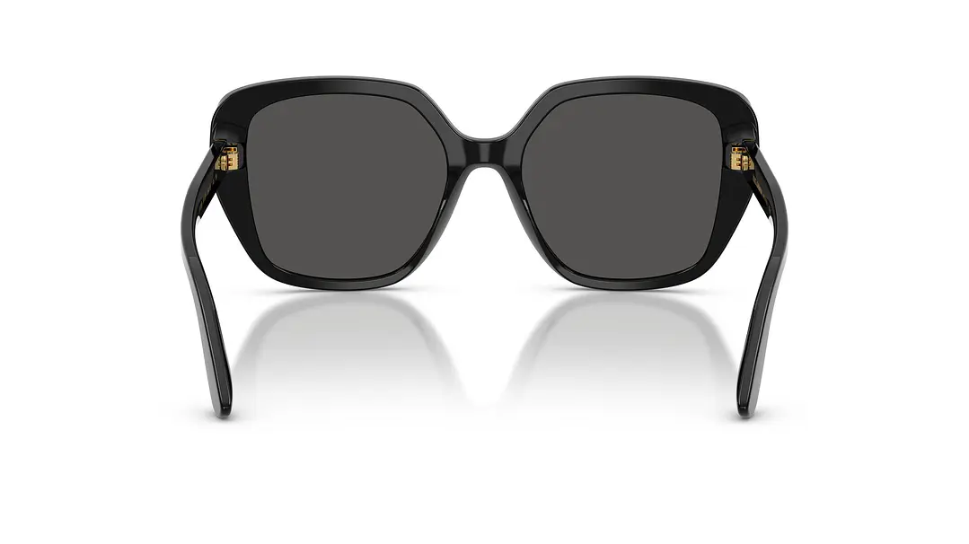 Dolce & Gabbana DG4569 DG4569 501/87 54 3