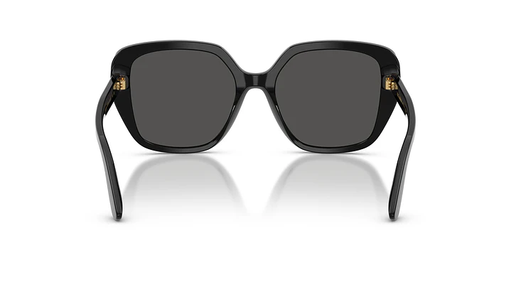 Dolce & Gabbana DG4569 DG4569 501/87 54 3