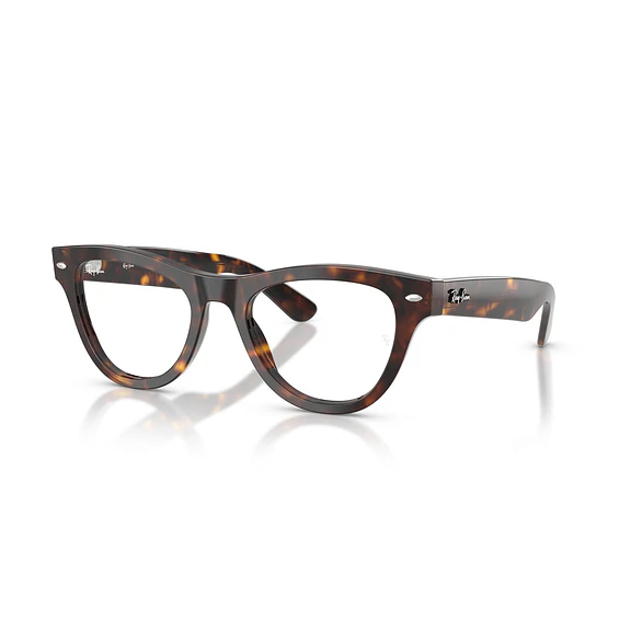 Ray-Ban RX5510 RX5510 2012 50