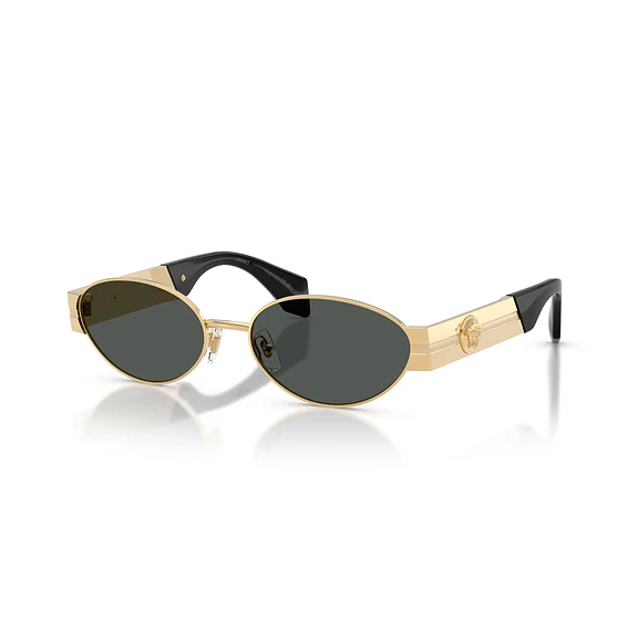 Versace VE2301 VE2301 152387 55