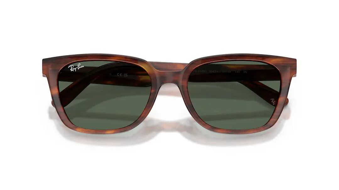 Ray-Ban RB2243D RB2243D 954/71 55 5