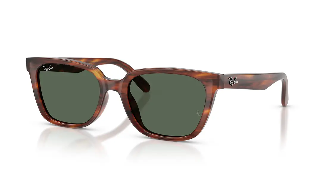 Ray-Ban RB2243D RB2243D 954/71 55 1