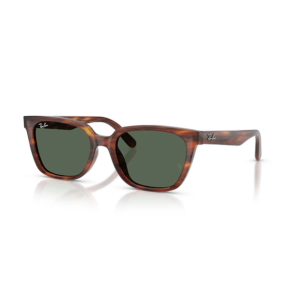 Ray-Ban RB2243D RB2243D 954/71 55