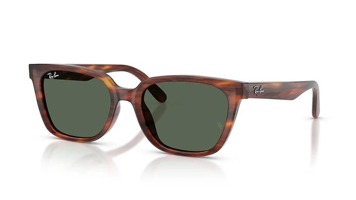 Ray-Ban RB2243D RB2243D 954/71 55 1