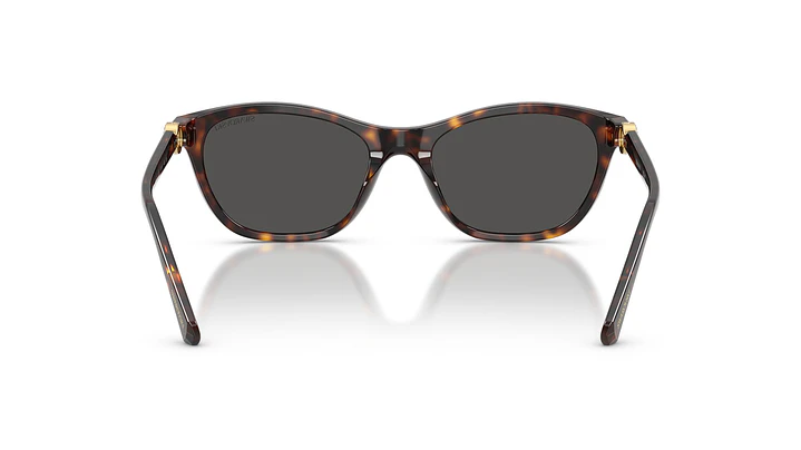 Swarovski SK6070 SK6070 100287 54 3