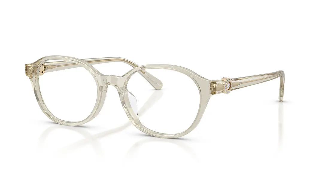 Swarovski SK2077D SK2077D 3003 53 1