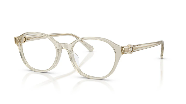 Swarovski SK2077D SK2077D 3003 53 1