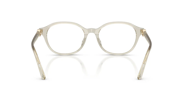 Swarovski SK2077D SK2077D 3003 53 3