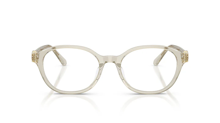 Swarovski SK2077D SK2077D 3003 53 5