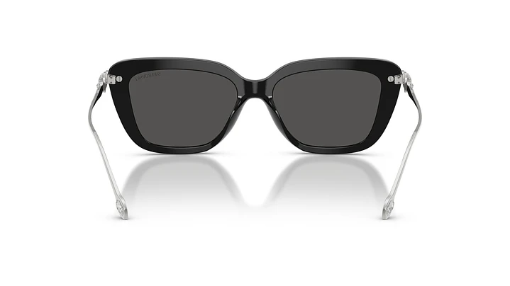 Swarovski SK6065U SK6065U 103887 55 3
