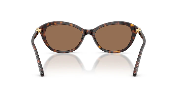 Swarovski SK6066U SK6066U 100273 54 3