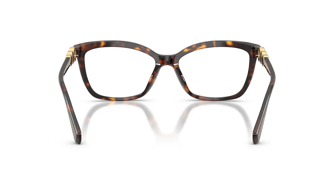 Swarovski SK2072U SK2072U 1002 55 3