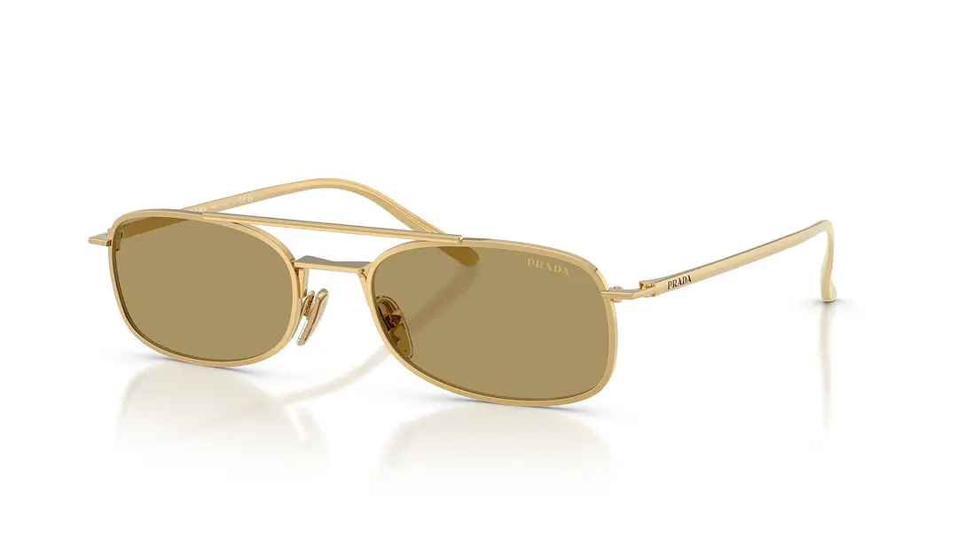 Prada PR D59S PR D59S 5AK70G 54 1