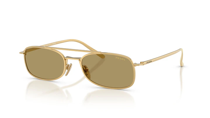 Prada PR D59S PR D59S 5AK70G 54 1
