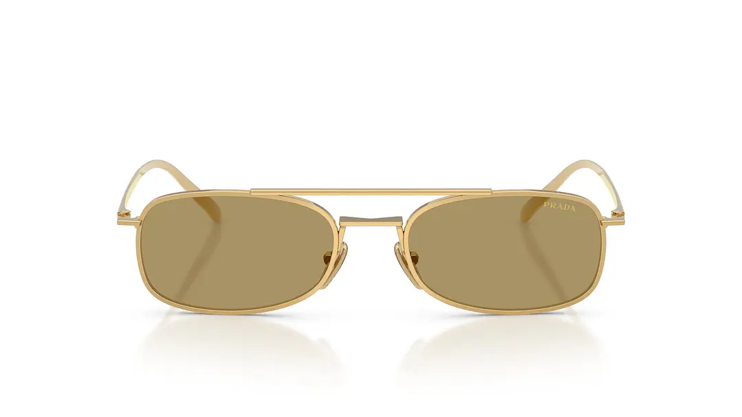 Prada PR D59S PR D59S 5AK70G 54 5