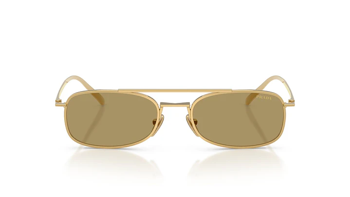 Prada PR D59S PR D59S 5AK70G 54 5