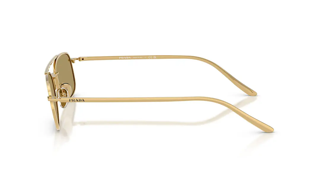 Prada PR D59S PR D59S 5AK70G 54 2
