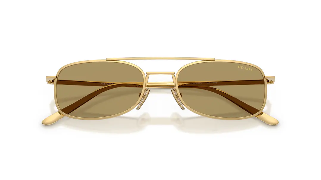 Prada PR D59S PR D59S 5AK70G 54 4