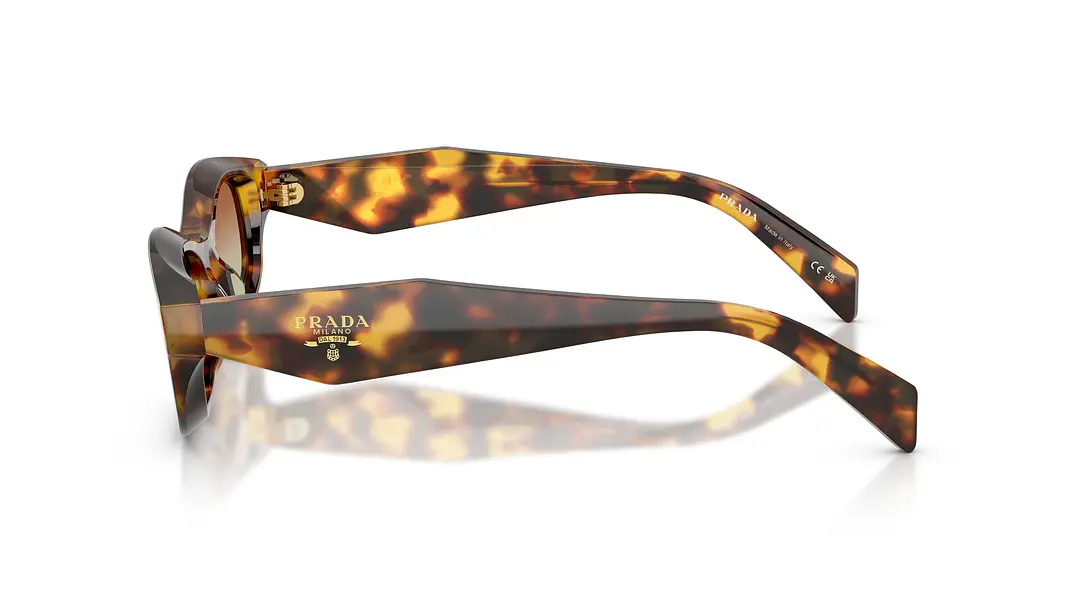 Prada PR D24S PR D24S 14L70T 54 2