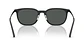 Emporio Armani EA4286D EA4286D 500187 55 - Miniatura 3
