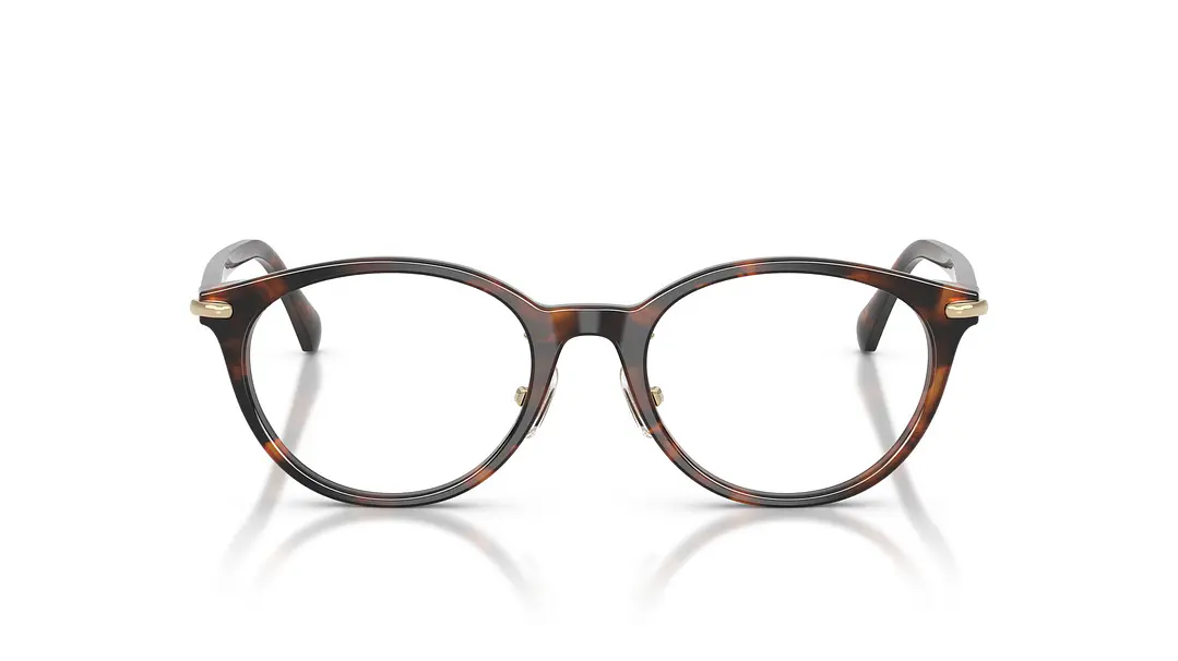 Michael Kors Darjeeling MK4198D 4039 50 5