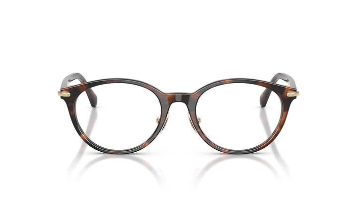 Michael Kors Darjeeling MK4198D 4039 50 5