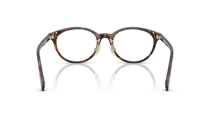 Michael Kors Darjeeling MK4198D 4039 50 3