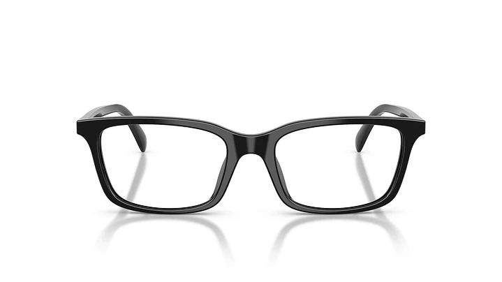 Emporio Armani EA3290U EA3290U 5017 53 5