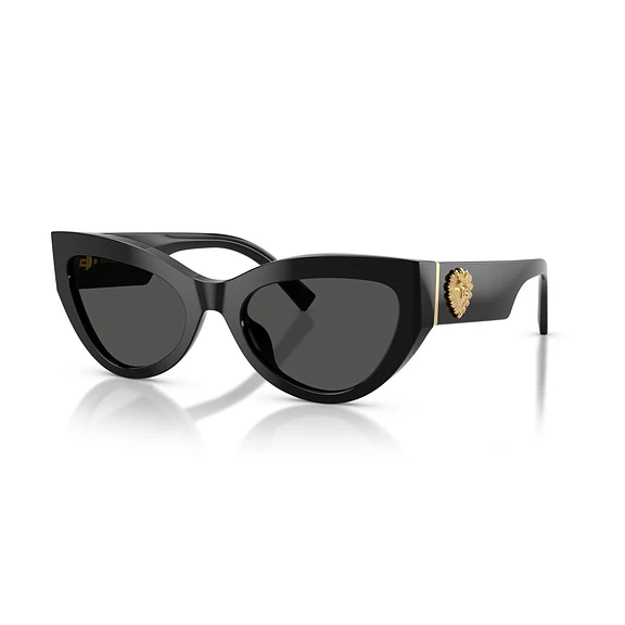 Dolce & Gabbana DG4536 DG4536 501/87 55
