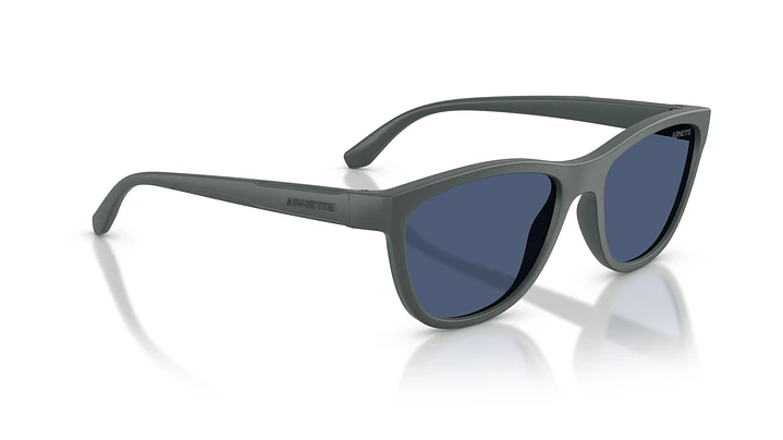 Arnette AN4379 284180 55 4