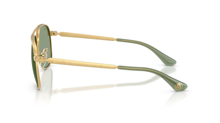 Ray-Ban Bill Max RB3793 929052 59 2