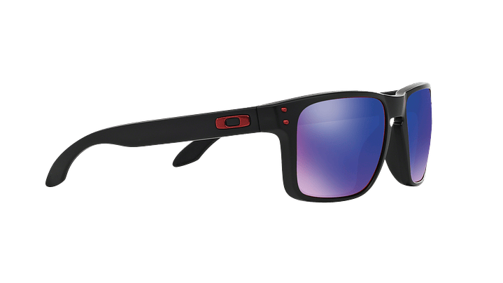 Oakley Holbrook 10