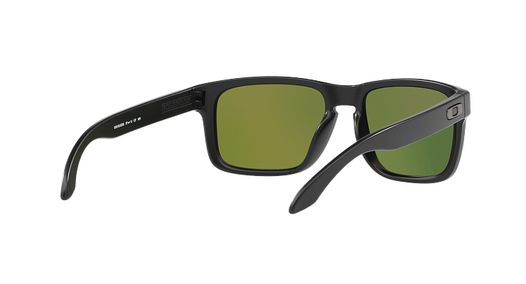 Oakley Holbrook Prizm - Image 7