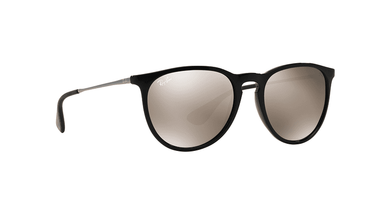 Ray-Ban Erika 11