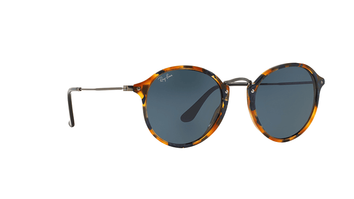 Ray-Ban Round Fleck 11