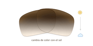 Lente Monofocal Alta calidad Sin tratamiento adicional Fotocromático Café