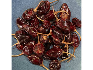 Short Jalapeño Chile Premium Quality 100g | By Lau Pereira