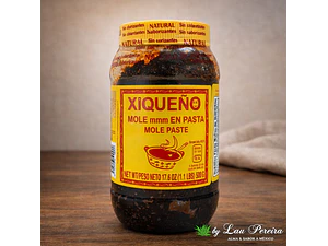 Mole en Pasta 500g | Xiqueño